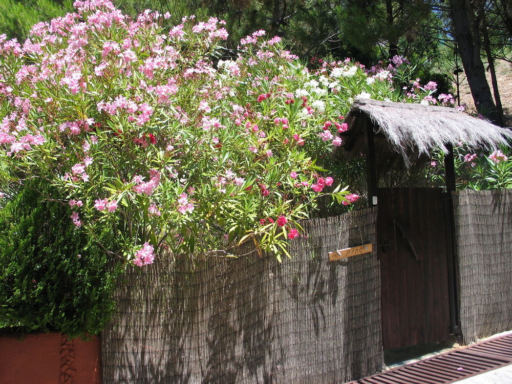 Hotel Ddg Retreat Casares Esterno foto