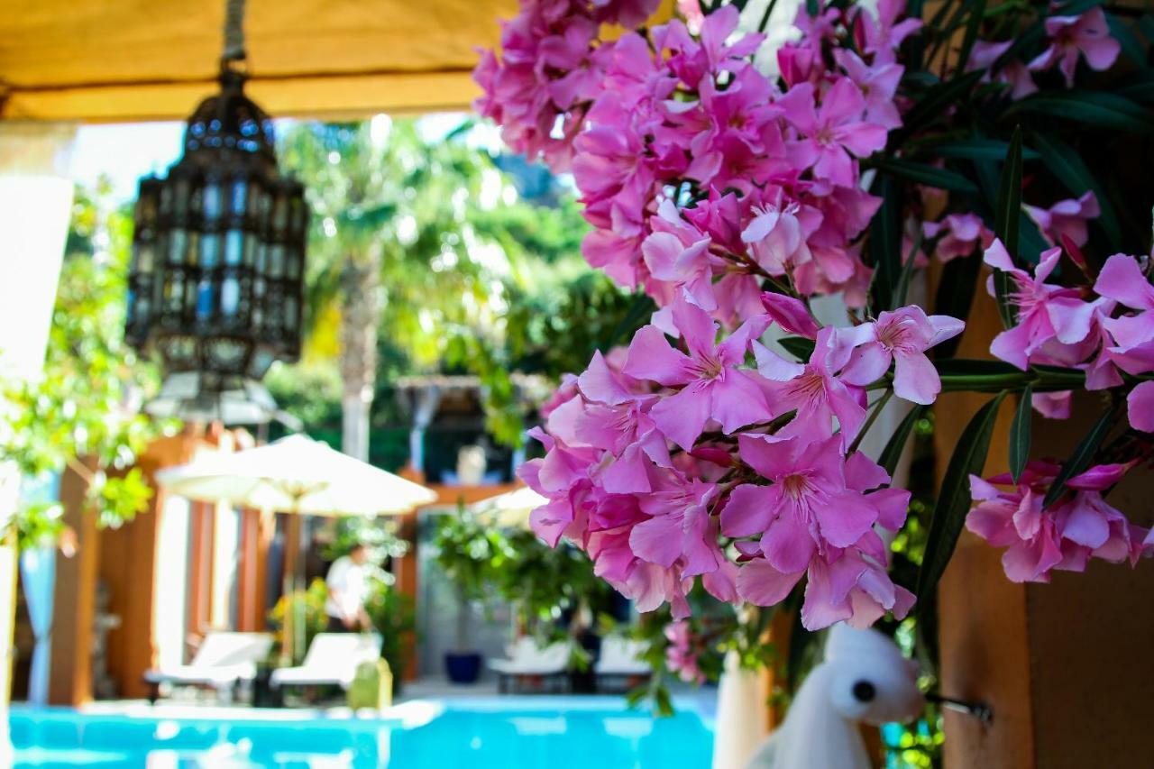 Hotel Ddg Retreat Casares Esterno foto